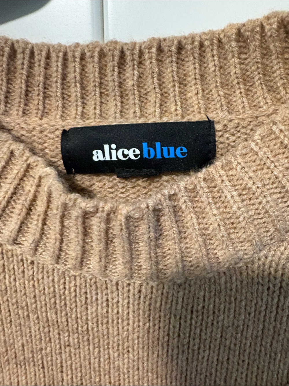 Alice Blue Camel Flower-Appliqué Crewneck Sweater - Picture 3 of 8